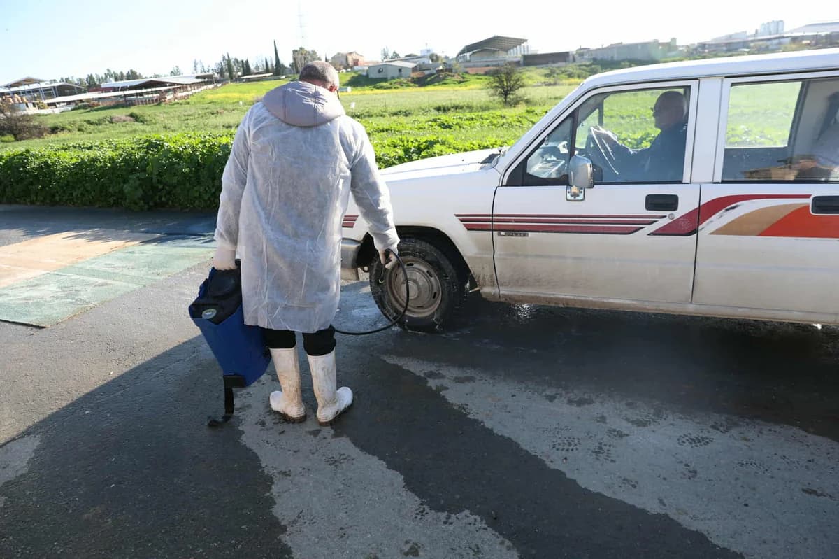 קפריסין: מומחי האיחוד האירופי למחלת הפה והטלפיים - אמצעים מחמירים