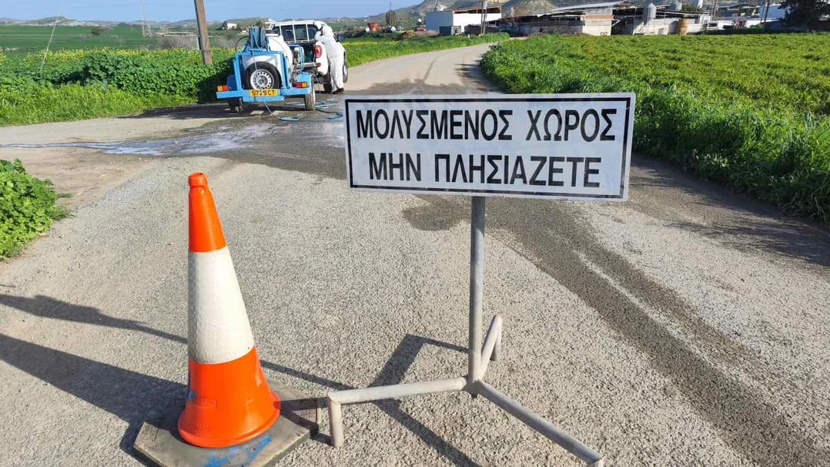 EU-Experten reisen wegen der Maul- und Klauenseuche nach Zypern