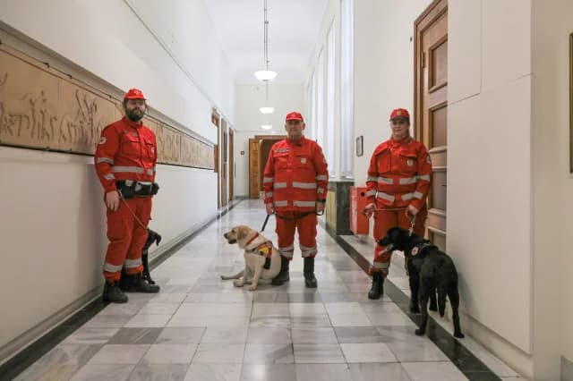 El Parlamento dona perros de rescate King y Kira a la Cruz Roja