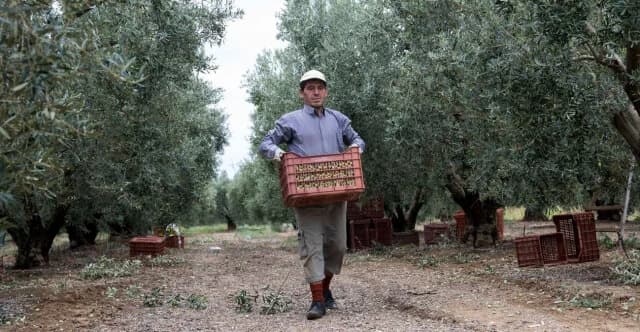 ELGA: 18,7 millones de euros en compensación para productores