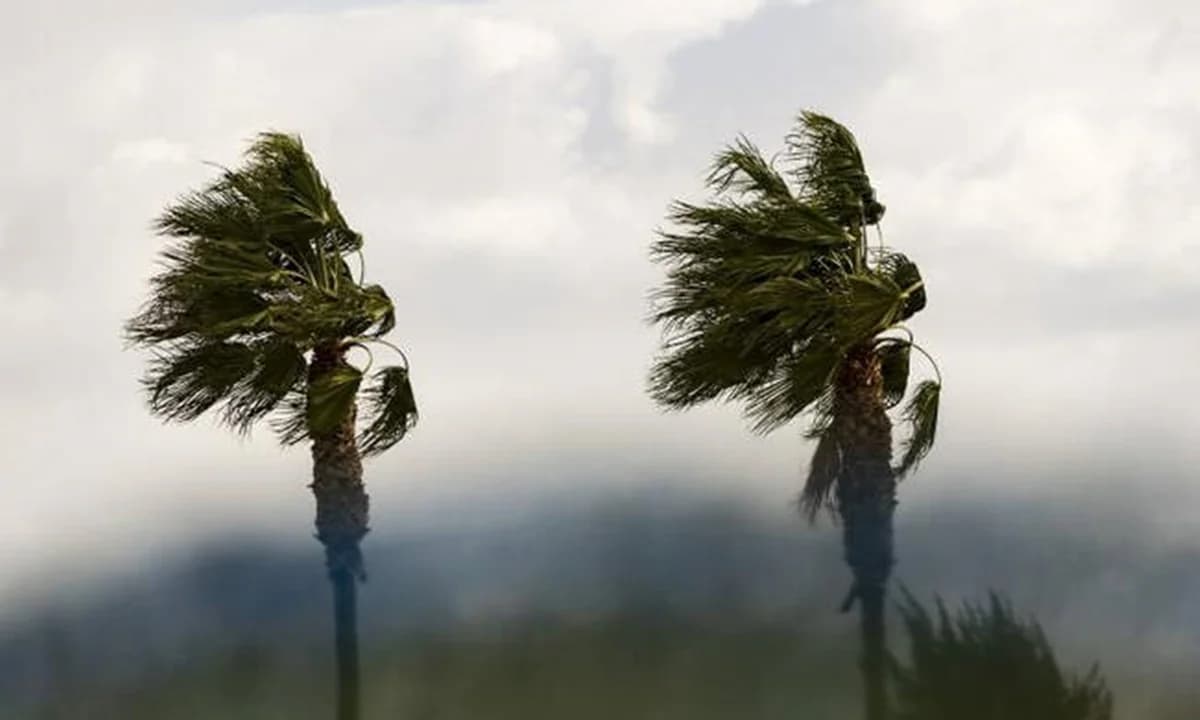 חזית קרה מתקרבת: צפויים גשם, סופות ורוחות חזקות