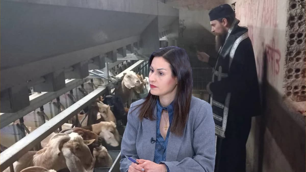 Maria Panagiotou: Comentarios sobre la santificación de una granja en Troulloi
