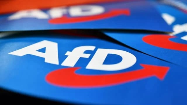 Deutschland: Gerichtsurteil zur AfD-Einstufung