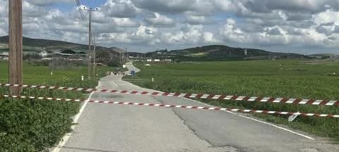 מחלת הפה והטלפיים בשטחים הכבושים: האשמות על הסתרת מקרים