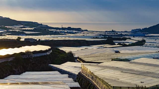 El Invernadero Más Grande de Europa se Encuentra en Almería, España