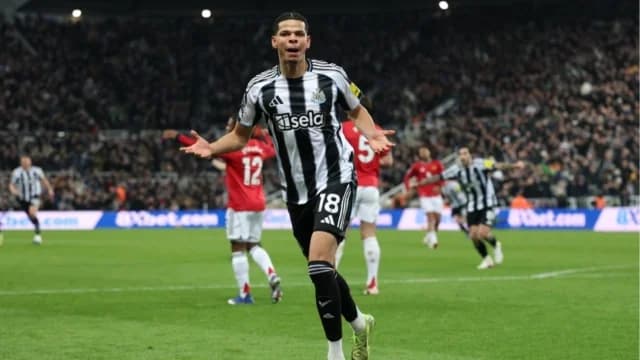 Premier League: Chelsea siegt, Newcastle gewinnt, City patzt