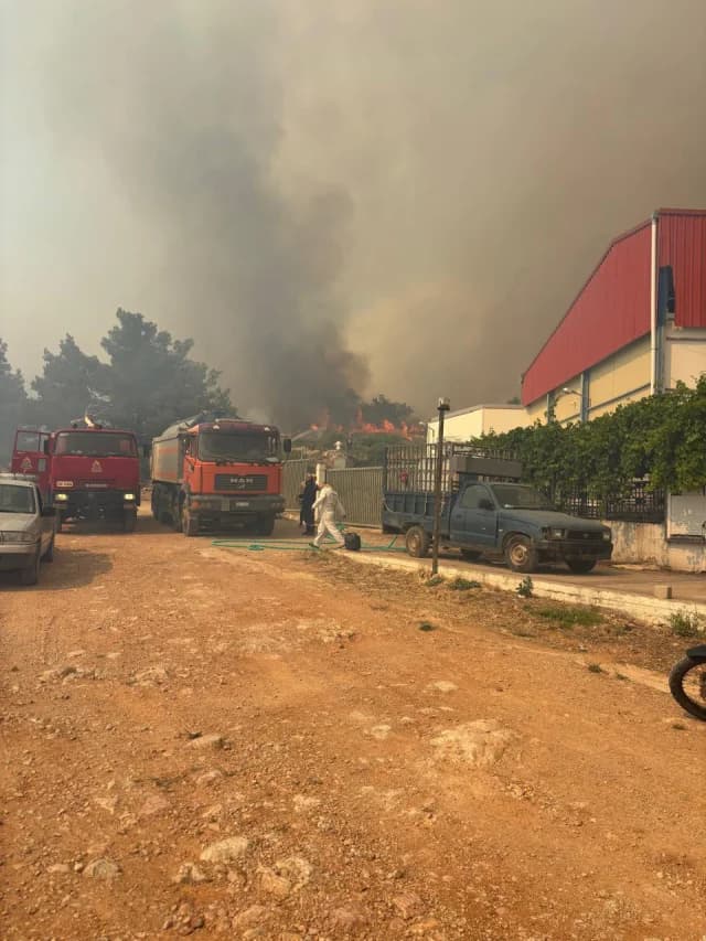 Avtias Asks Commission for Immediate Support for Chios After Fires