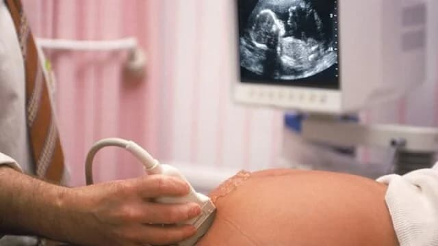 Απαγόρευση αμβλώσεων στο Ουαϊόμινγκ χωρίς εξαιρέσεις για βιασμό