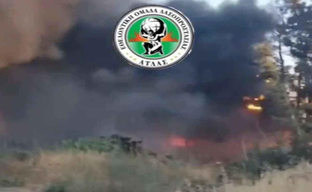Fire in Paphos: Damage to EAC pylons and irrigation systems
