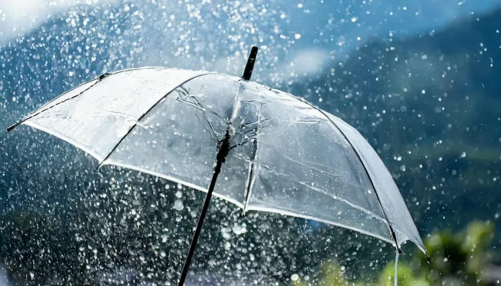 Weather Alert: Areas Expected to Be Affected