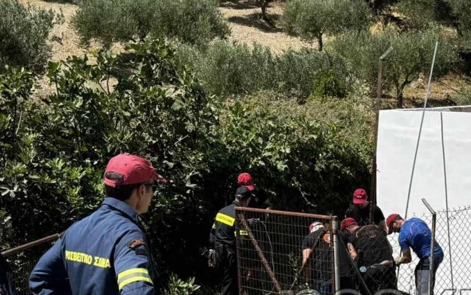 הרקליון: עובד נהרג בתאונה במיכל ביוב