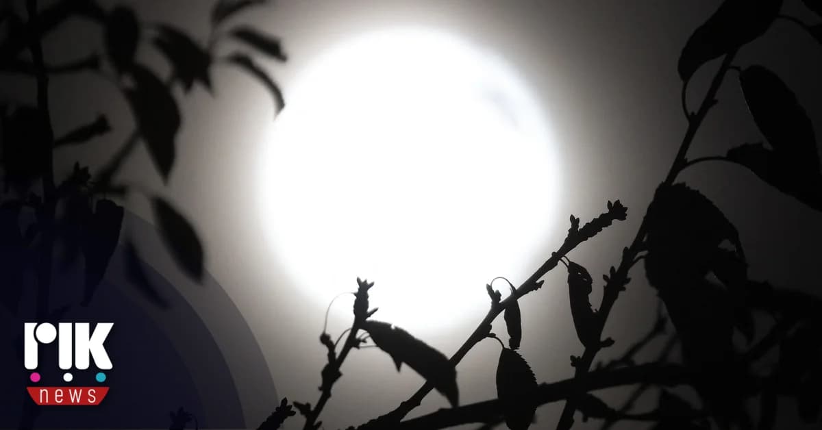 Weather Forecast: Clear Skies with Local Clouds