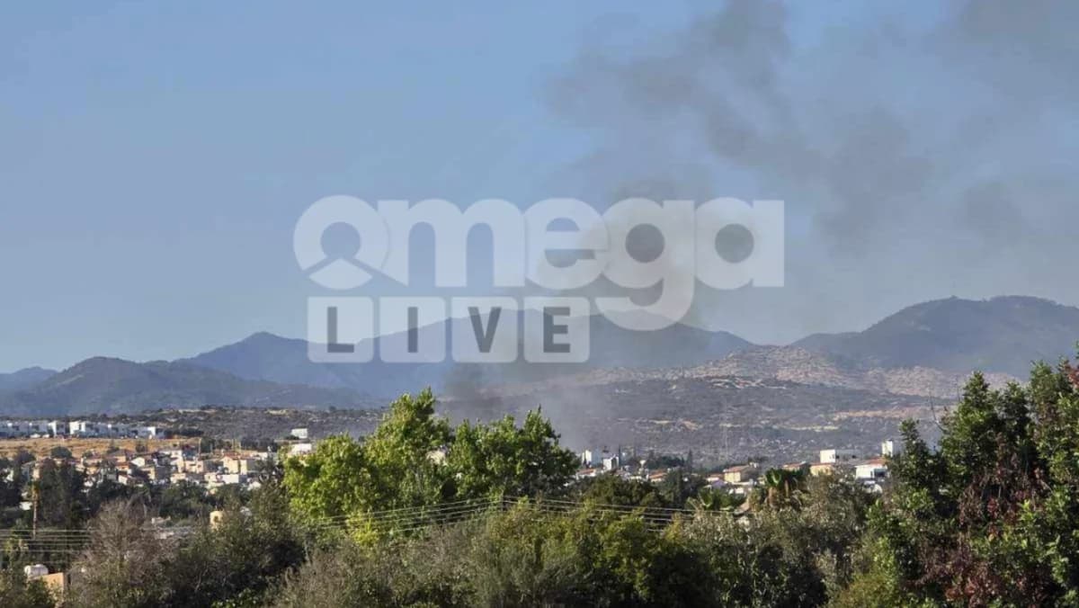 Fire in Limassol: Immediate Response Prevents Spread to Residences